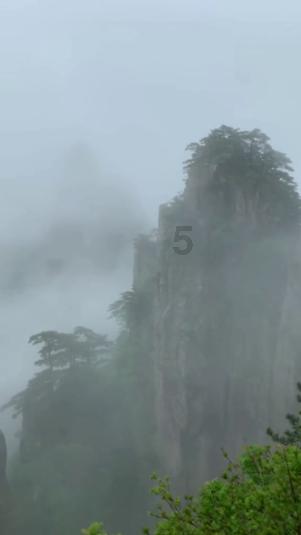 史小坑的爆笑生活10