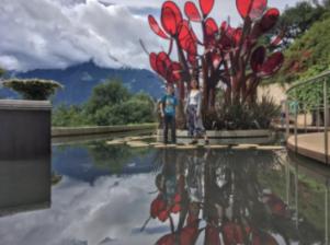 林志颖车祸后首发文,妻子终于等到小志回家,陈若仪是什么心情?—机智问答,满足你的好奇心!