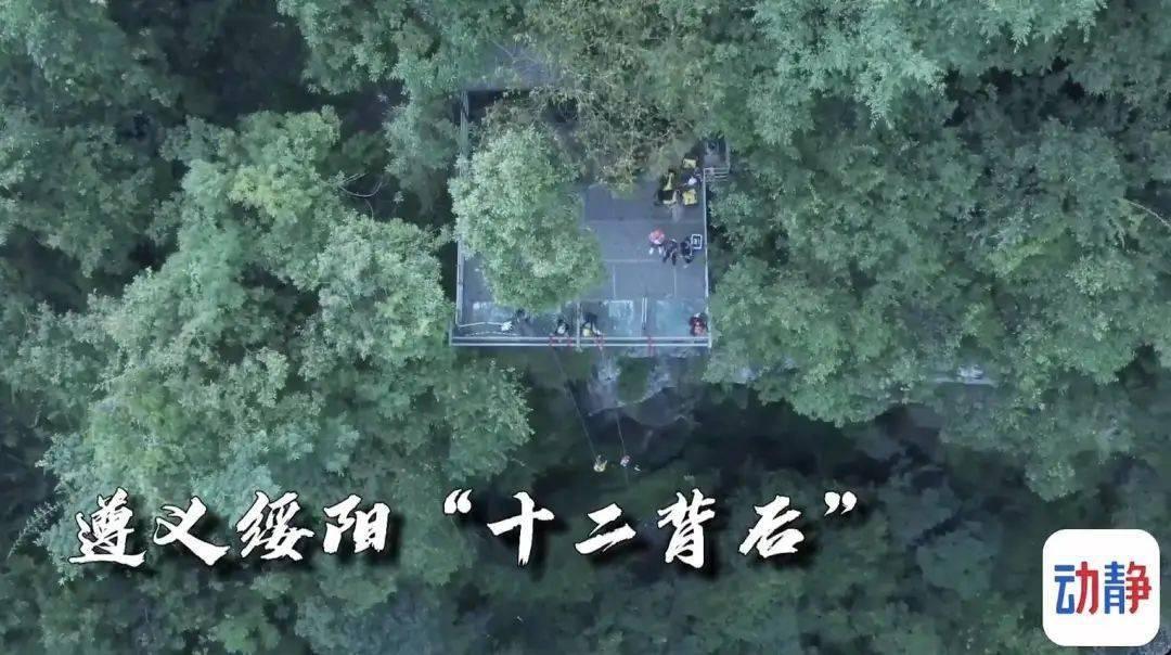 滚动的奶酪选关版