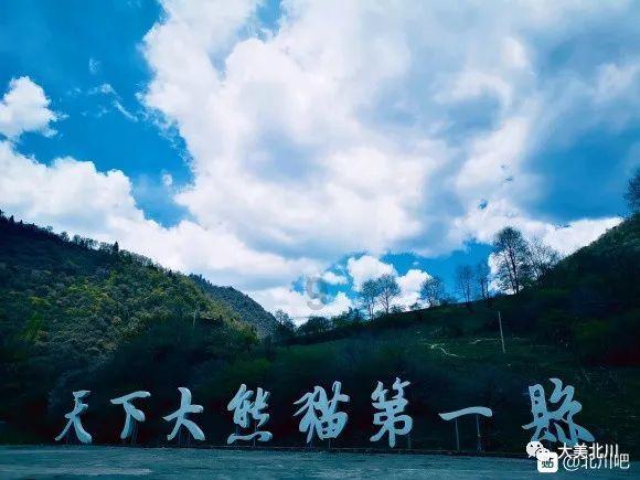 逗小猴开心系列191