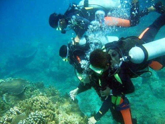 并网发电一次成功！西安交大又创“全球首个”成果