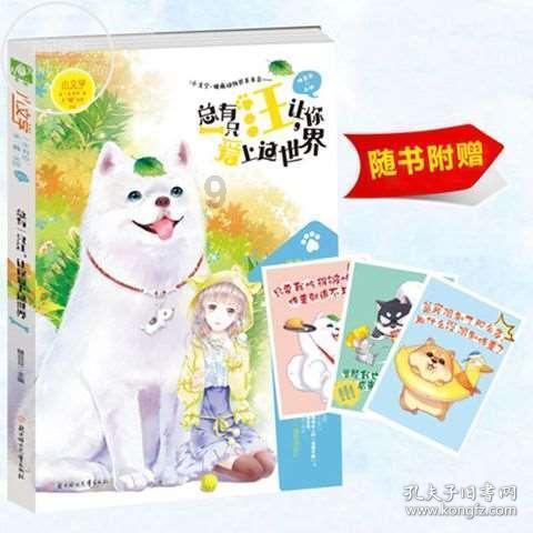 甜美公主的绚丽装扮