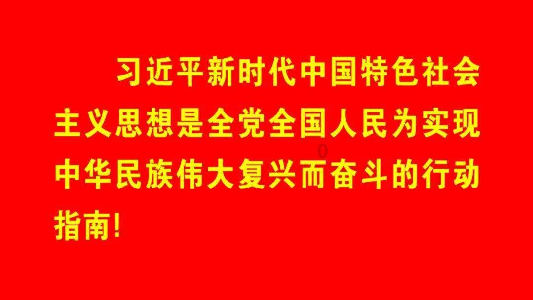 茜杰和莉斯大改造