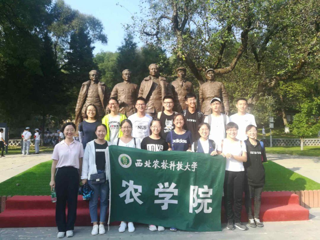 卑鄙的小妖精