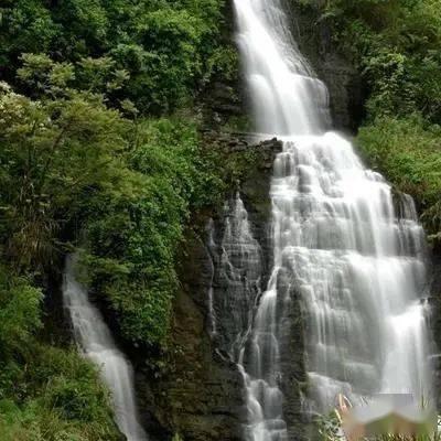 唐唐姐《精英关系》高阶女性进阶课程
